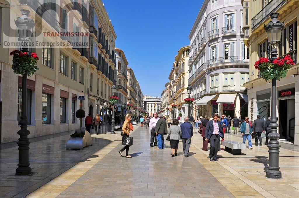 commerce en vente sur PARIS (75008)