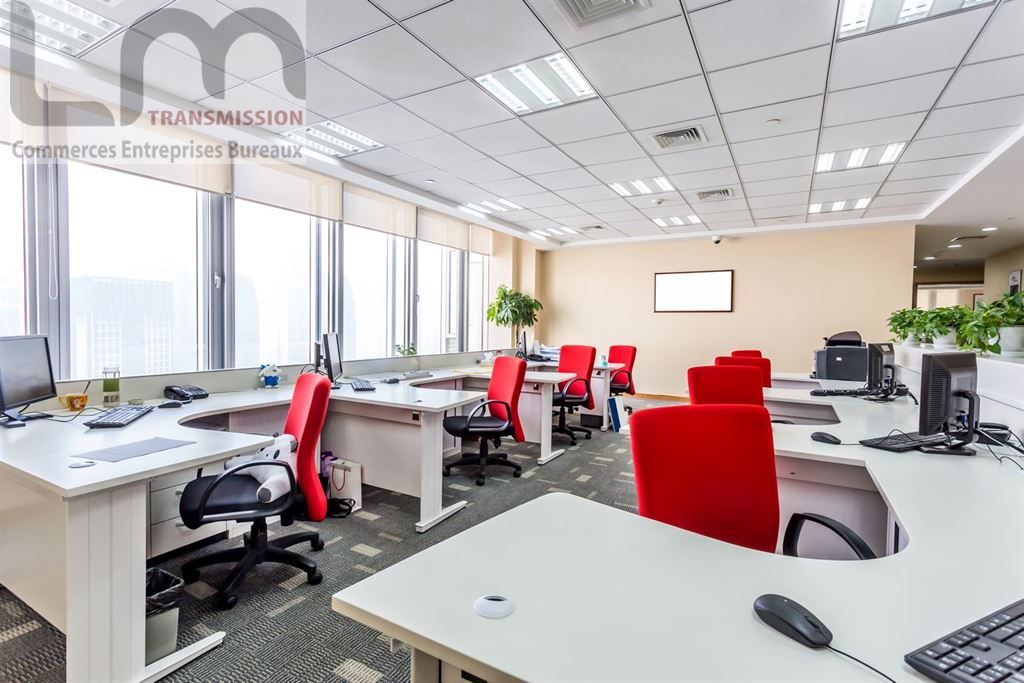 bureaux en vente sur AVON (77210)